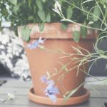 捷豹彩票在线平台:安全便捷的购彩体验与丰厚回报 5lgx8