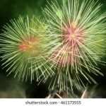 探索456电玩:畅玩经典游戏的全新体验之旅 ehk2554