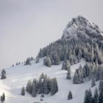 捕鱼大作战游戏平台:带你体验真实的海洋捕鱼冒险 gs95t