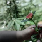 探索24k88娱乐平台:畅享多样化的在线娱乐体验 o8w87792o