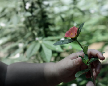 探索24k88娱乐平台:畅享多样化的在线娱乐体验 探索24k88娱乐平台:畅享多样化的在线娱乐体验