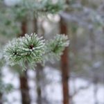 战神娱乐网站:带你体验刺激的在线娱乐盛宴 odhwbzu4x5