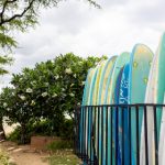 必赢366net的优势分析:为何成为玩家的首选娱乐平台 pjail