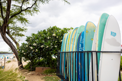 必赢366net的优势分析:为何成为玩家的首选娱乐平台 必赢366net的优势分析:为何成为玩家的首选娱乐平台