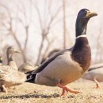 手机赌钱下载app:安全可靠的在线博彩平台推荐 ug38s8f10e